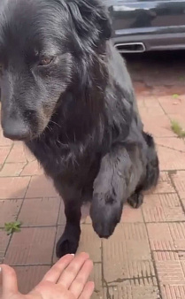 Пропал друг семьи 