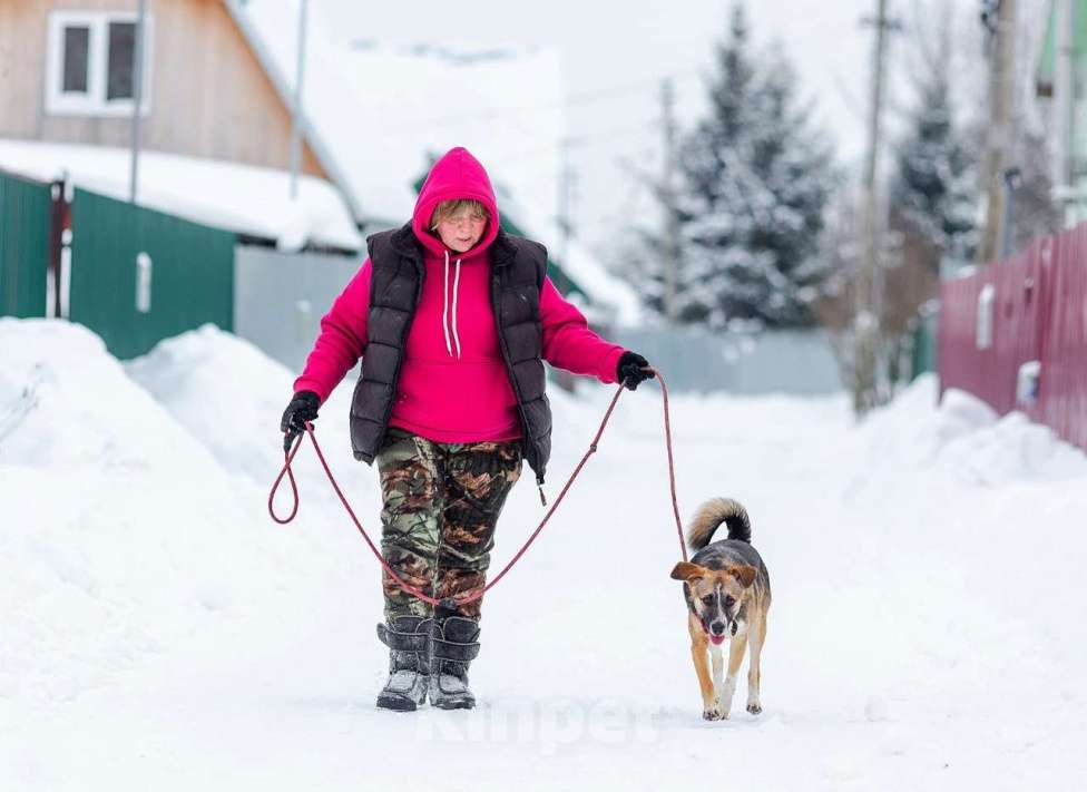 Собаки в Белоозёрском: ЛИНДИ (Далила) Девочка, 2 руб. - фото 2