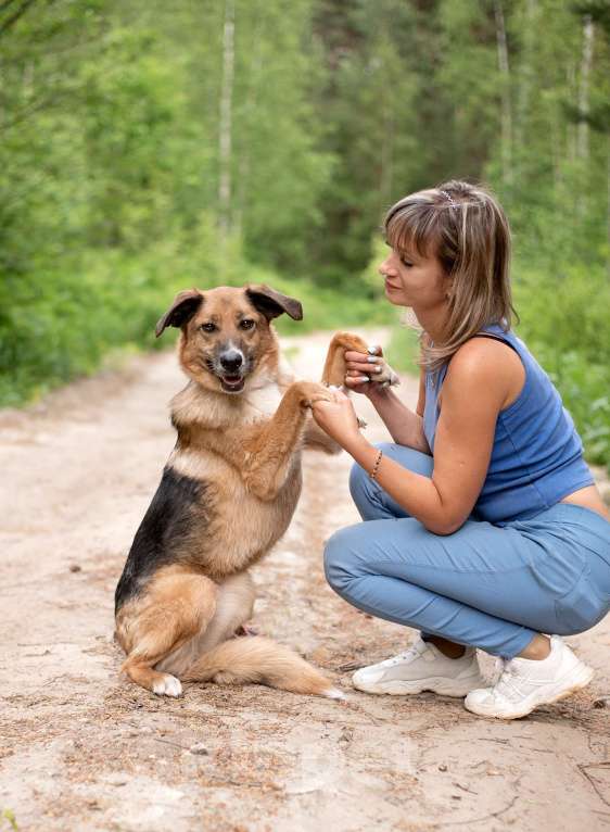 Собаки в Ногинске: Красавица Самара ищет дом Девочка, Бесплатно - фото 6