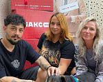 Собаки в других городах Краснодарского края: Метис ягдтерьера в дар с доставкой чипирован кастрирован Мальчик, Бесплатно - фото 3
