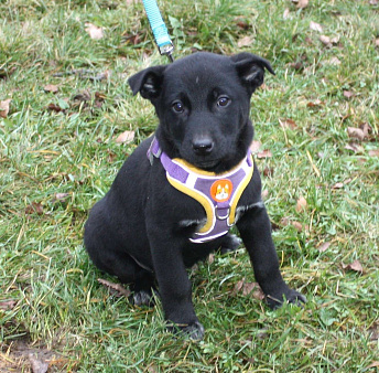 Малышка Масяня ищет свою любимую семью 