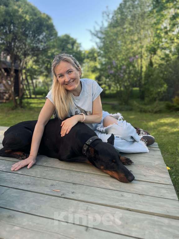 Собаки в других городах Московской области: Смоки ищет семью! Мальчик, Бесплатно - фото 8