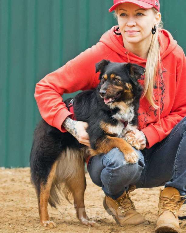 Собаки в других городах Московской области: Юная небольшая Марли ищет дом Девочка, Бесплатно - фото 6