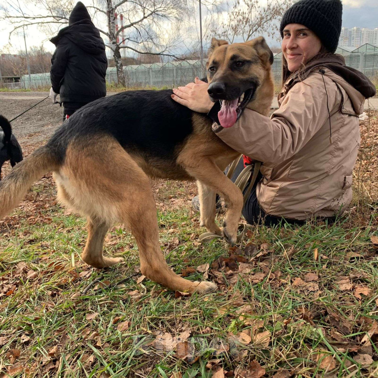 Собаки в Москве: Тася Девочка, Бесплатно - фото 4