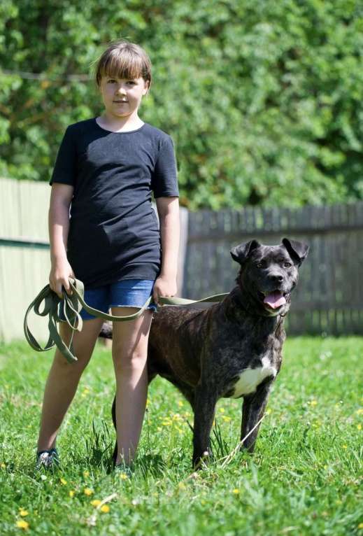 Собаки в Москве: Красавица и добрячка Кора Девочка, Бесплатно - фото 7