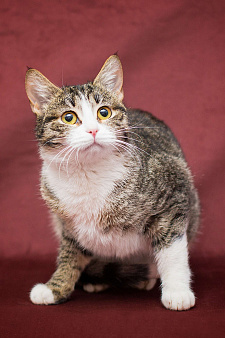 Жанетта ищет дом