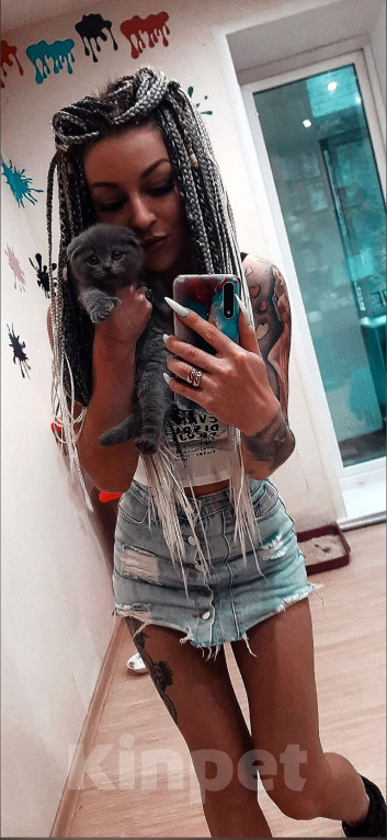 Кошки в Коломне: Полидактильные шотландцы из Канады! Мальчик, 40 000 руб. - фото 8