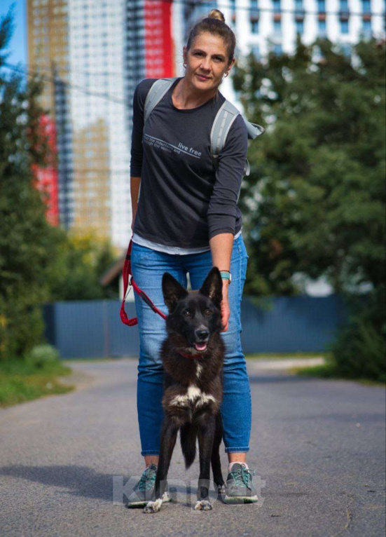 Собаки в Москве: Собака-оберег с ангелом на груди Девочка, Бесплатно - фото 4