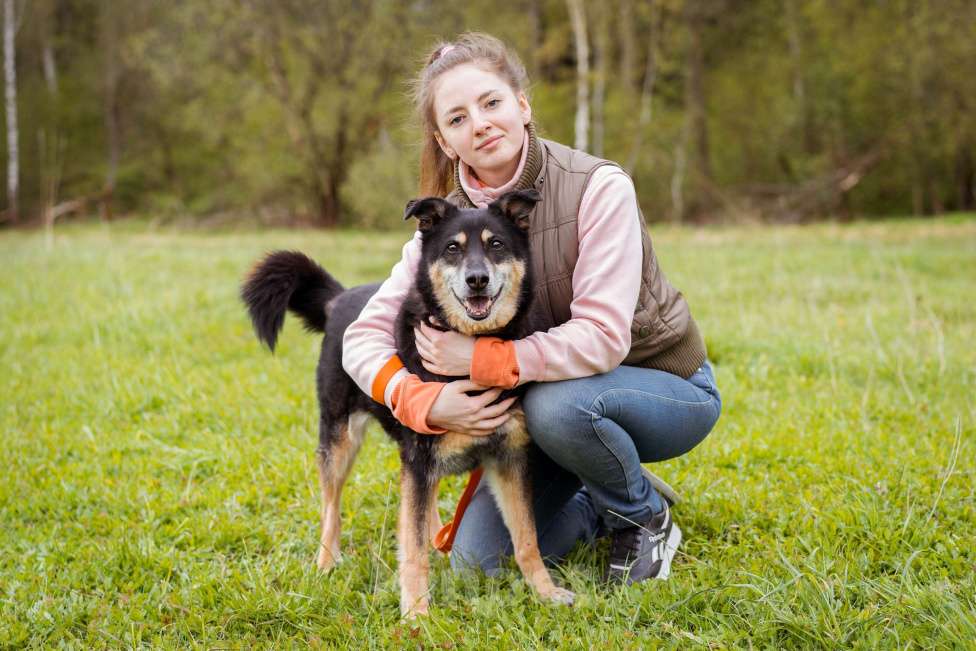 Собаки в Москве: Собака из приюта ищет дом Мальчик, Бесплатно - фото 6