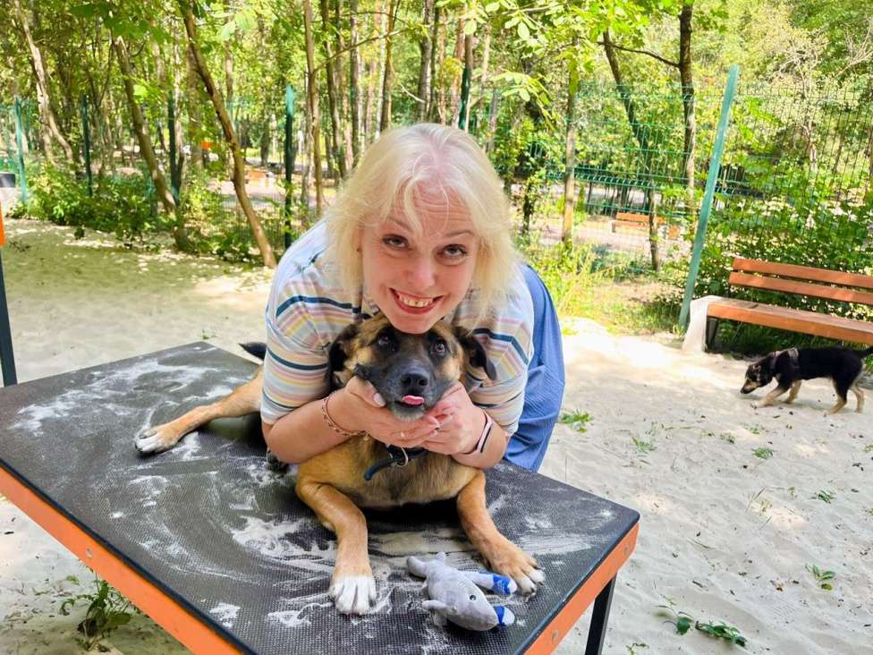 Собаки в Санкт-Петербурге: Свой в доску, друг котов, и просто душевный пёс ищет дом Мальчик, Бесплатно - фото 2