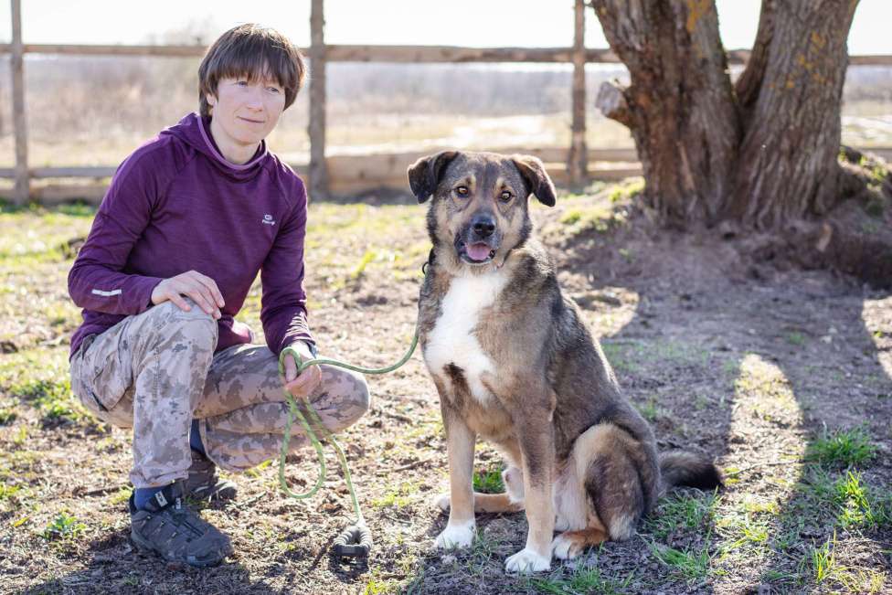 Собаки в Москве: Собака-компаньон в поисках семьи Мальчик, Бесплатно - фото 6