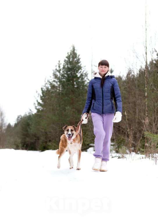 Собаки в Москве: Матильда из мультфильма ищет дом Девочка, Бесплатно - фото 5