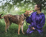 Собаки в Москве: Фруня - душа любой компании! Девочка, Бесплатно - фото 4