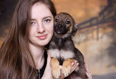 Объявление: Щенок небольшой собаки в добрые руки, Бесплатно, Москва