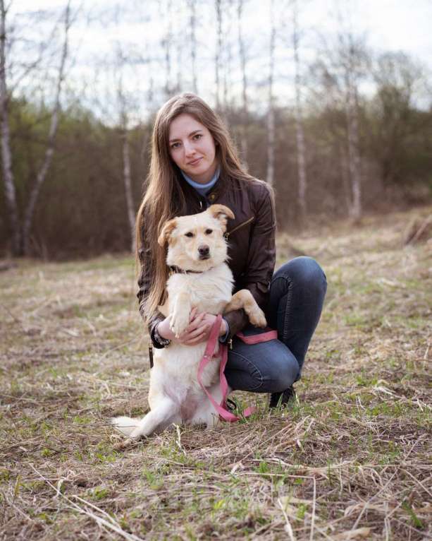 Собаки в Москве: Маленькая собачка, приучена к квартире Девочка, Бесплатно - фото 6