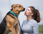 Собаки в Москве: Самый веселый и умный пес Василий ищет дом Мальчик, Бесплатно - фото 1
