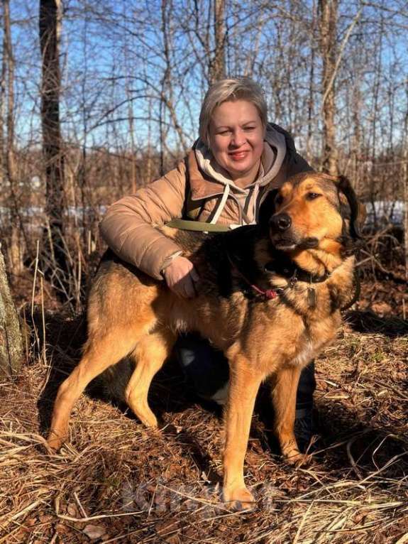 Собаки в Санкт-Петербурге: Верные и преданые товарищи-собаки ищут дом Разнополые, Бесплатно - фото 3
