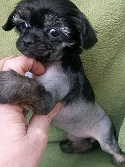 Крошечная малышка 