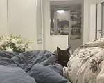 Кошки в Москве: Котенок в добрые руки , к сожалению аллергия началась , девочке 4 месяца  Девочка, Бесплатно - фото 3