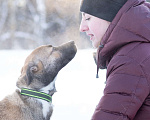 Собаки в Москве: Маленькая собачка 10 кг в дар Девочка, Бесплатно - фото 3
