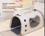 Кошки в Москве: Продаю абиссинского котёнка. Девочка, 26 000 руб. - фото 2