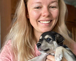 Собаки в Щелково: Щенки 1 месяц с прививками  Мальчик, 1 руб. - фото 9