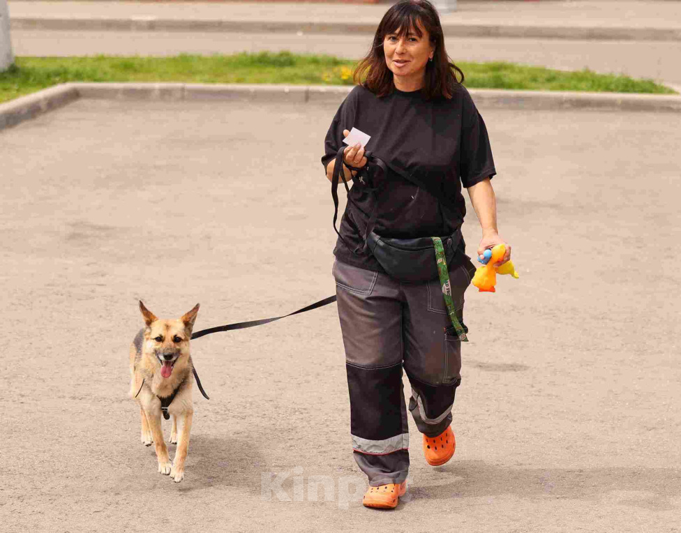 Собаки в Москве: Крошка, малютка, малышка Ханна в добрые руки Девочка, Бесплатно - фото 5