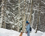Собаки в Одинцово: Гертруда ищет дом и любящую семью  Девочка, Бесплатно - фото 5