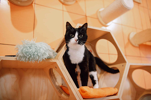 Снежана мечтает найти семью