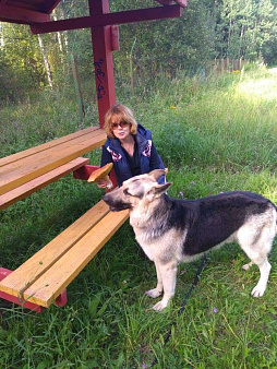 Объявление: В добрые руки, Бесплатно, Москва