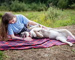 Собаки в Солнечногорске: Девочка, 1 год в добрые руки Девочка, Бесплатно - фото 5