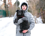 Собаки в Москве: Веселая Черничка ищет активную семью Девочка, 100 руб. - фото 5