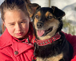 Собаки в Москве: Очаровательный песик мечтает найти самую любящую семью! Мальчик, 10 руб. - фото 3