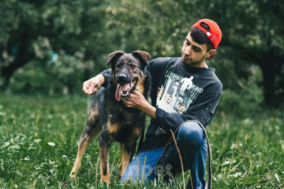 Собаки в Москве: Конар Мальчик, Бесплатно - фото 2