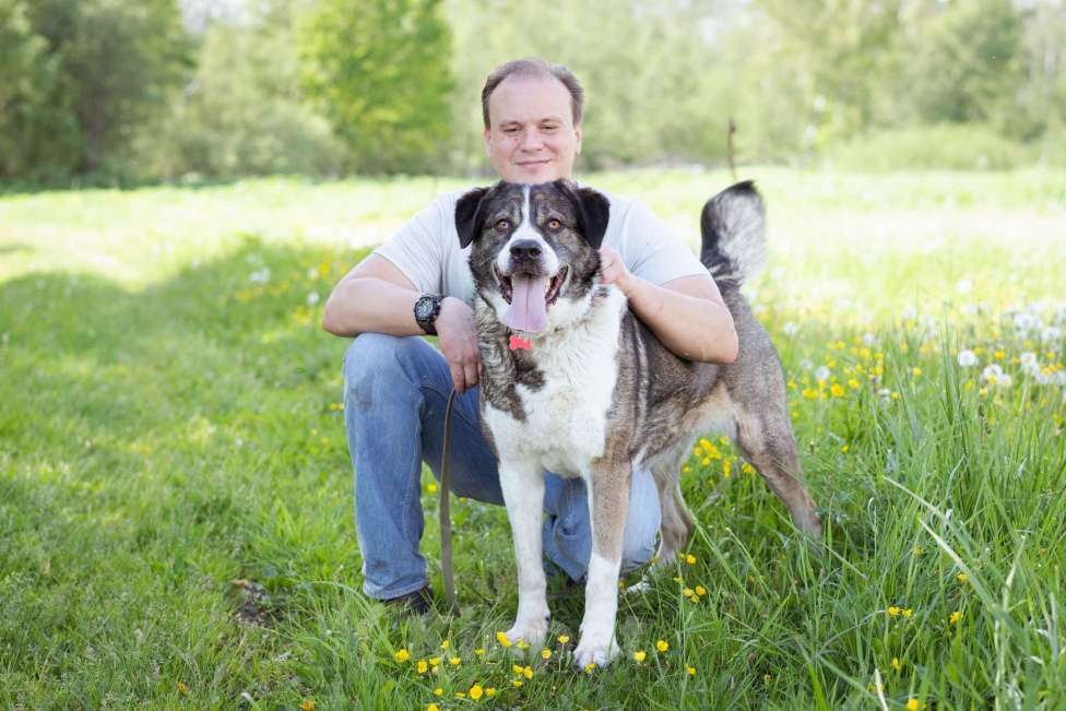 Собаки в Москве: Собака прошедшая СВО и избежавшая усыпления в поисках самого лучшего дома! Девочка, Бесплатно - фото 5