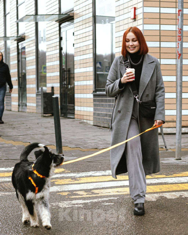 Собаки в Москве: Щенок в добрые руки  Девочка, Бесплатно - фото 4