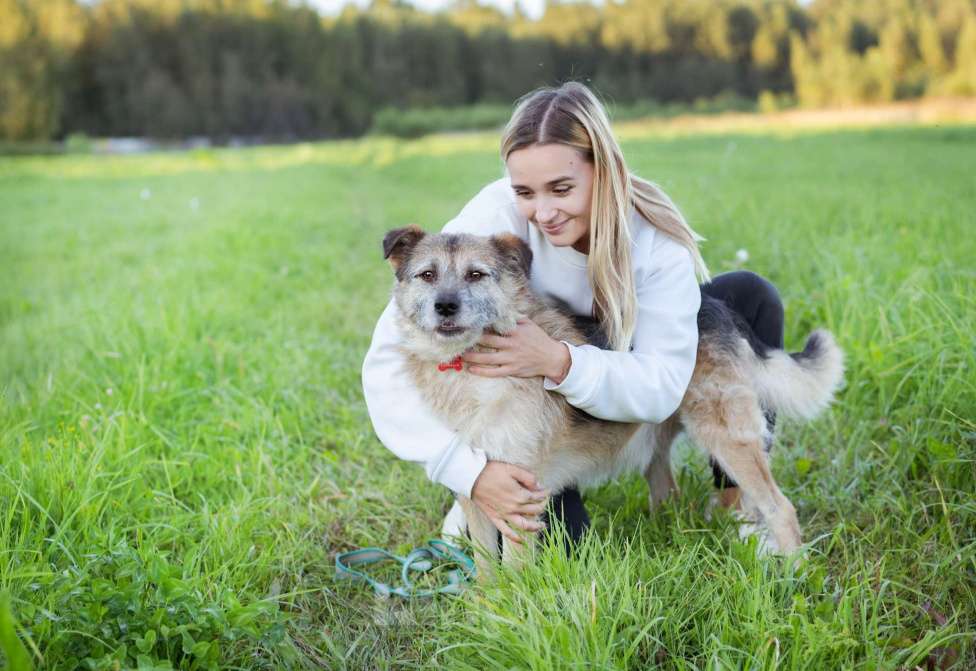 Собаки в Москве: Собака в поисках семьи! Мальчик, Бесплатно - фото 8