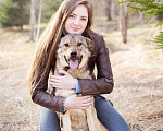 Собаки в Москве: Жизнерадостный пёс-компаньон Мальчик, Бесплатно - фото 8