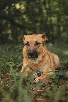 Тилль ищет дом