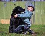 Собаки в Москве: Малыш-Черныш. Мальчик, 10 руб. - фото 3