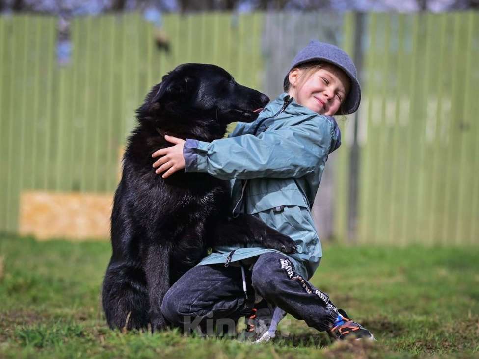 Собаки в Москве: Малыш-Черныш. Мальчик, 10 руб. - фото 3