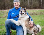 Собаки в Москве: Весёлый, активный породистый Лайк оказался в приюте и ждёт свою семью Мальчик, Бесплатно - фото 4