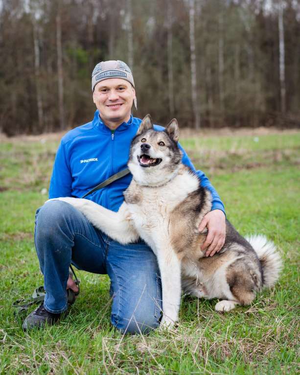 Собаки в Москве: Весёлый, активный породистый Лайк оказался в приюте и ждёт свою семью Мальчик, Бесплатно - фото 4