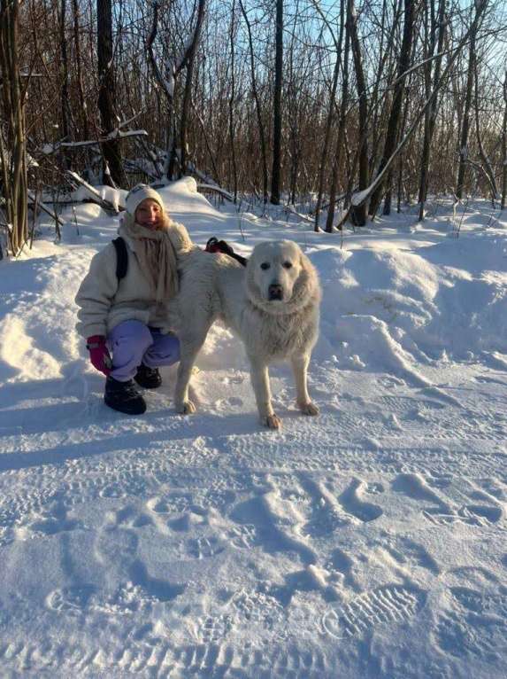 Собаки в Москве: Федя Мальчик, Бесплатно - фото 1