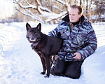 Собаки в Москве: Гаспар, 3 года. Ласковый, послушный пёс в муниципальном приюте. Мальчик, Бесплатно - фото 2