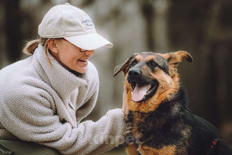 Собаки в Москве: Фьючерс - настоящий медвежонок! В добрые руки Мальчик, Бесплатно - фото 6