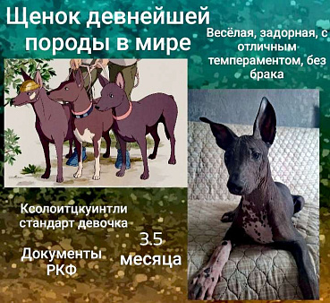 Девочка мексиканская голая