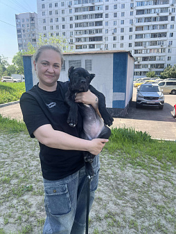 Щенок