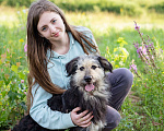 Собаки в Троицке: Бородатик в добрые руки Мальчик, Бесплатно - фото 3
