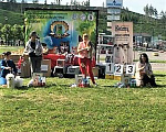 Собаки в Воронеже: Вязка с  коричневым миниатюрным (29см) пуделем Мальчик, 20 000 руб. - фото 9